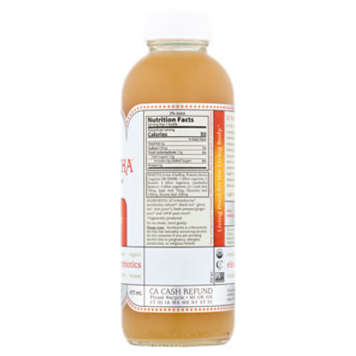 Synergy Kombucha Nutrition Facts Besto Blog