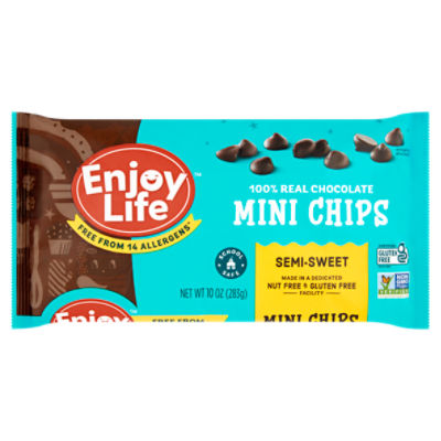 Enjoy Life SemiSweet 100 Real Chocolate Mini Chips, 10 oz Fairway