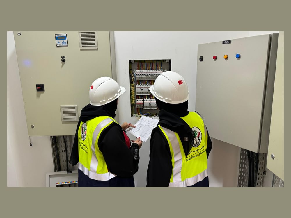 SEWA completes maintenance of distribution boxes in 376 sites