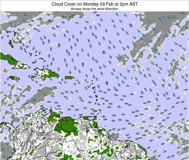 Haiti Cloud Cover on Sunday 14 Feb at 2am AST