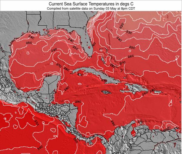 The Dump Water Temperature (Sea) and Wetsuit Guide (Eleuthera, Bahamas)