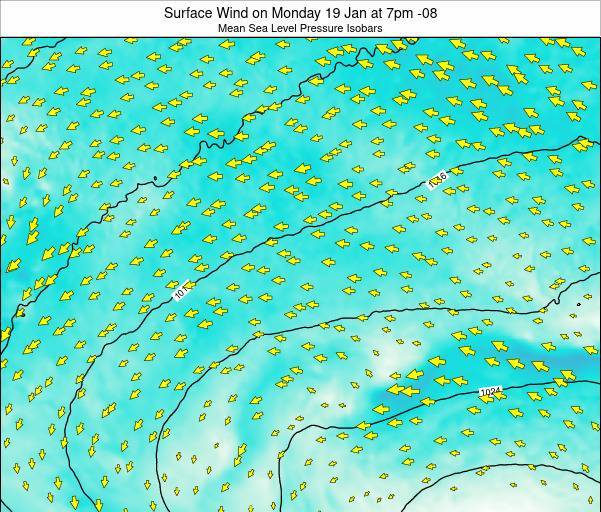 Pitcairn Surface Wind on Monday 10 Jul at 7am 08