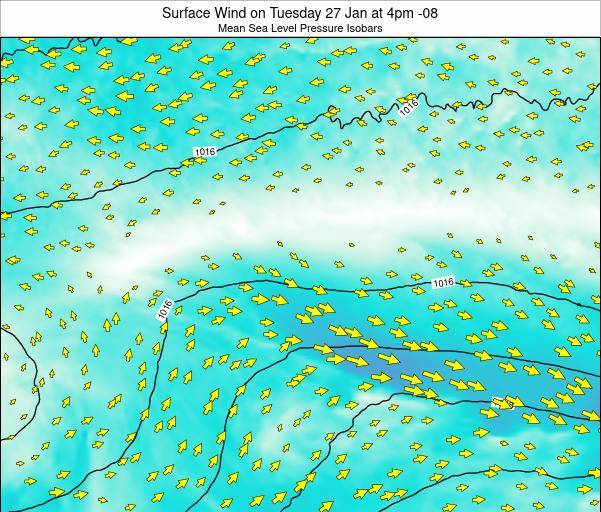 Pitcairn Surface Wind on Sunday 26 Feb at 10am 08