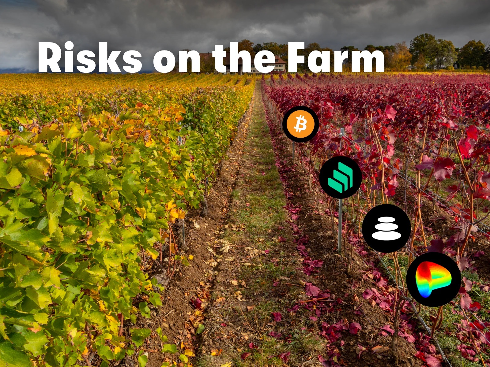 Risks on the Farm How to Yield Farm Safely