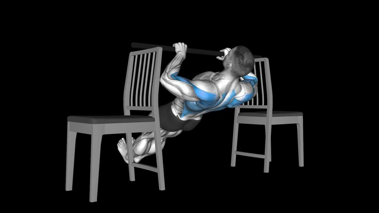 Chair Inverted Row How To Video, Alternatives & More