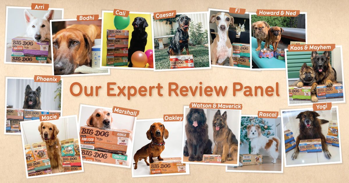 Fresh Dog Food Reviews Guides Big Dog Pet Foods