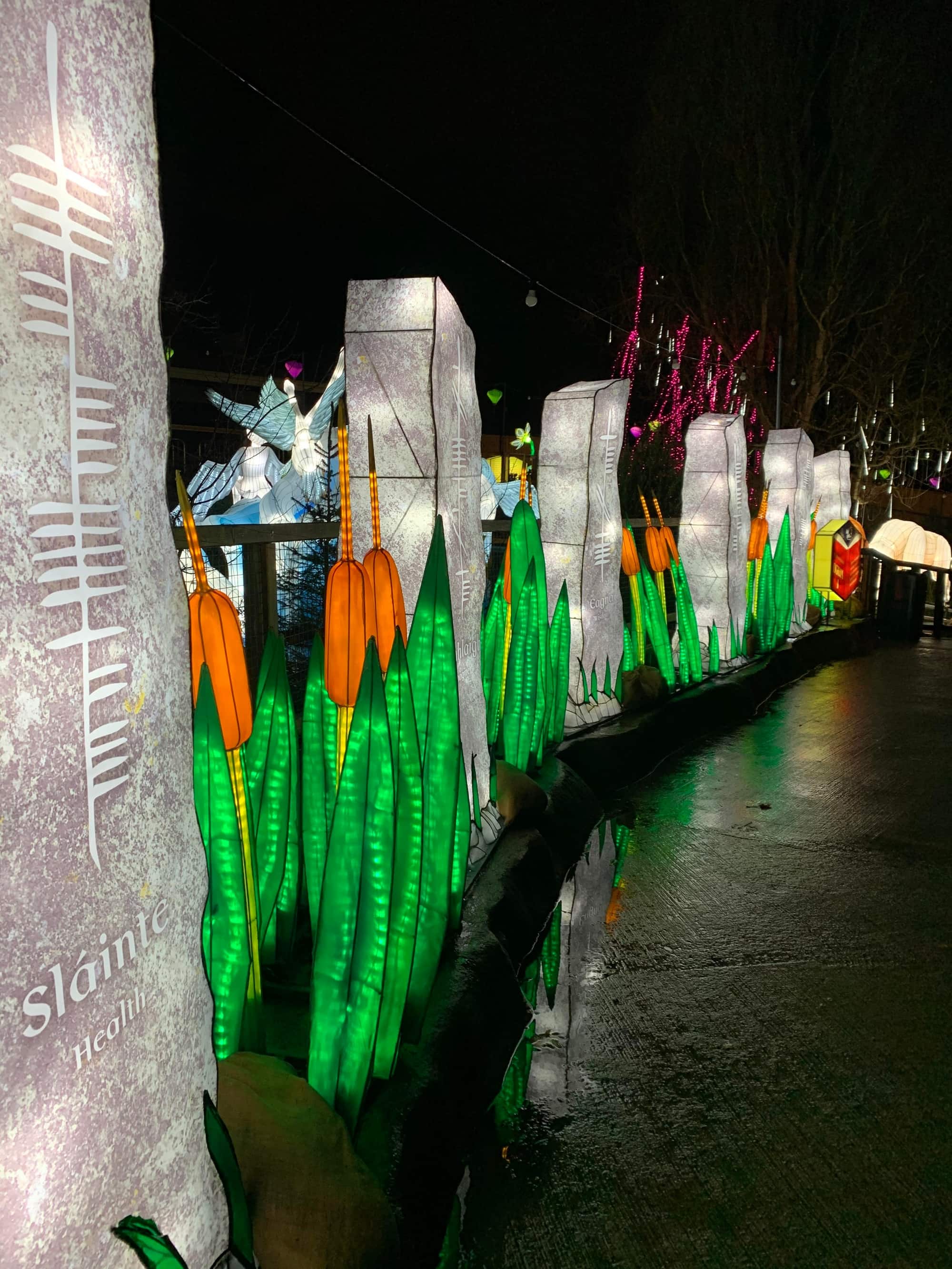 Specialist Wild lights at Dublin Zoo