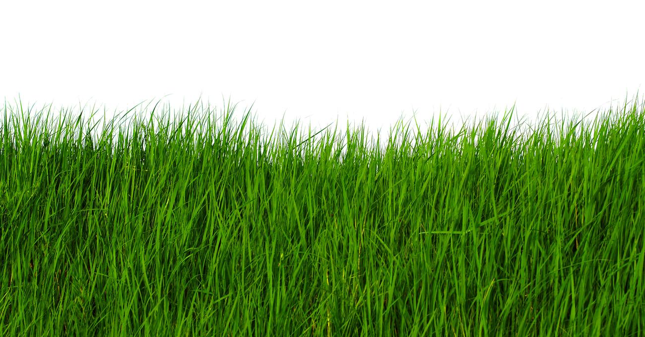 How To Build Your Own Grass Landing Strip SkyTough