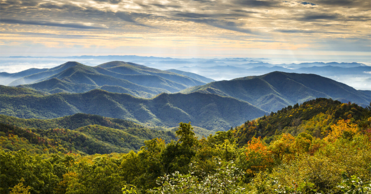 What Biome Is North Carolina? Renew Method