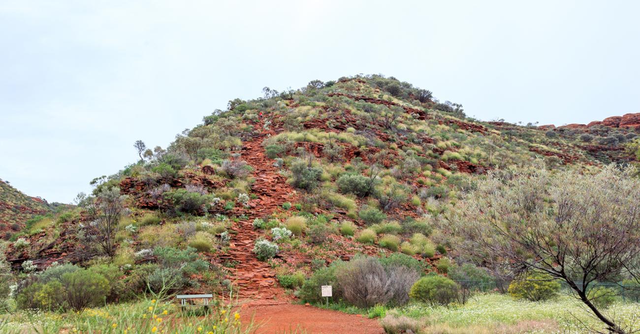 Chaparral Biome Facts About Location, Climate, Plants & Animals