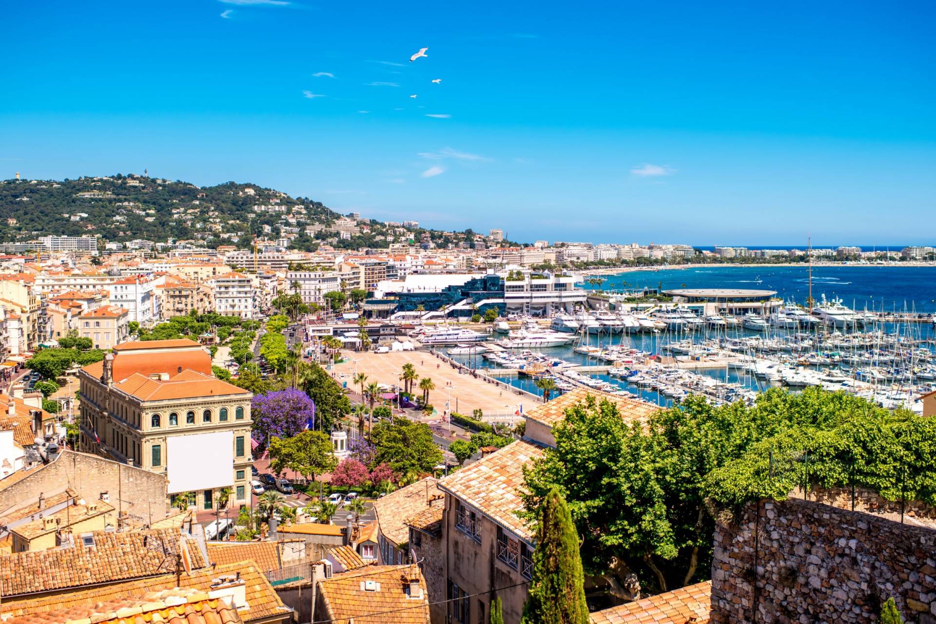 12Day package Paris & French Riviera with flight included Wingbuddy