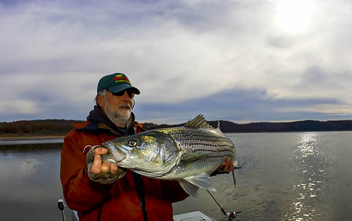 Striped Bass Fishing on Norfork Lake Wired2Fish