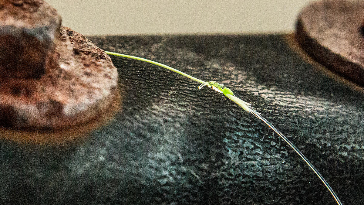 Seaguar Gold Label Fluorocarbon Leader Line Review Wired2Fish