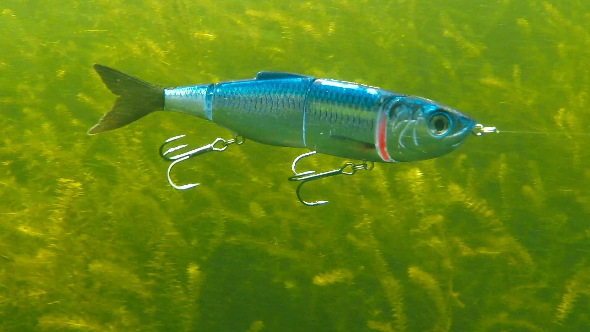 Jointed Swimbaits How and When to Fish Wired2Fish
