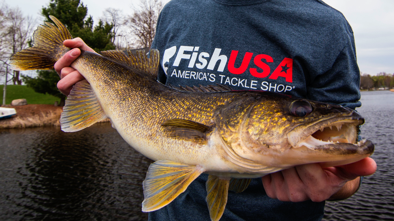 Find Spring Walleyes by Watching Water Temperature Wired2Fish