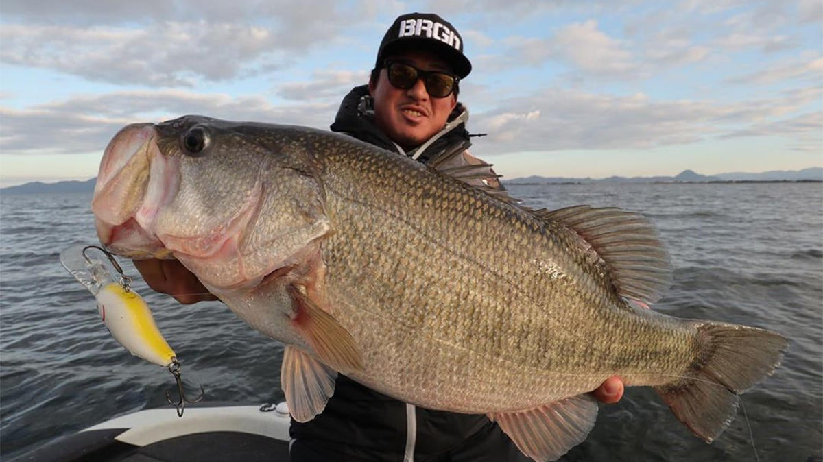 15pound Bass Caught from Renowned Fishery Wired2Fish