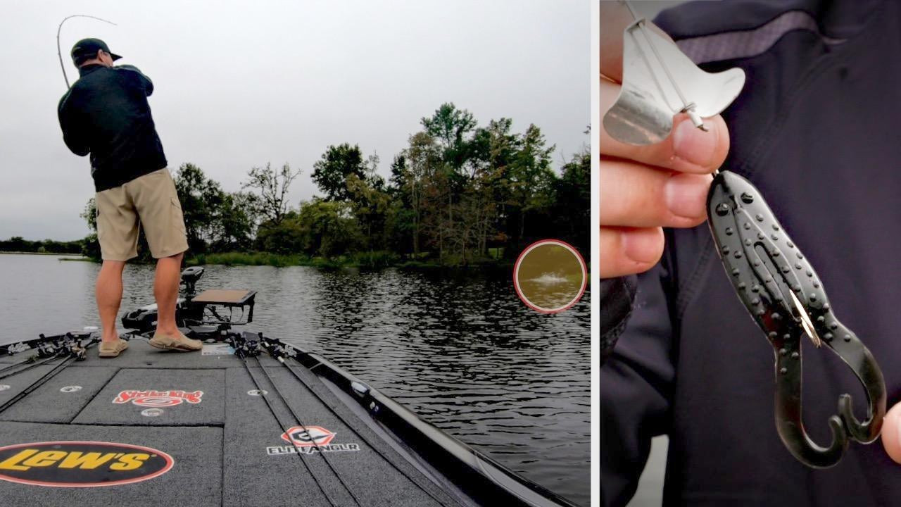 Buzzbait Tips for Explosive Fall Bass Fishing Wired2Fish