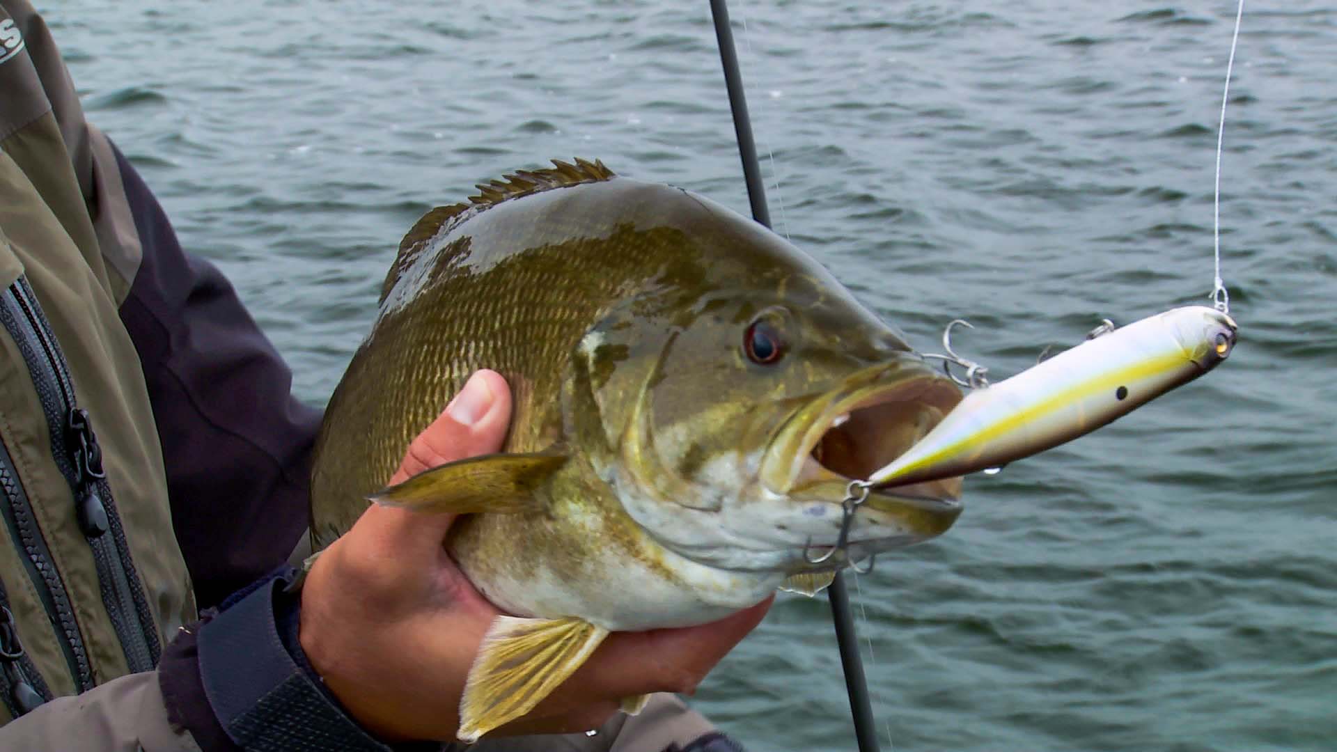 Key Tips for Fishing Topwater Baits in Choppy Water Wired2Fish