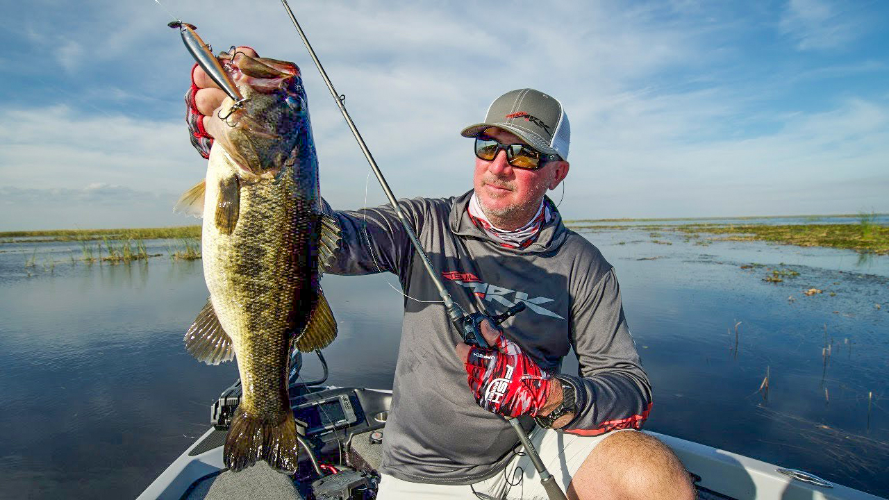 Top 5 Baits for Florida Bass Fishing Tharp’s Simple Approach Wired2Fish