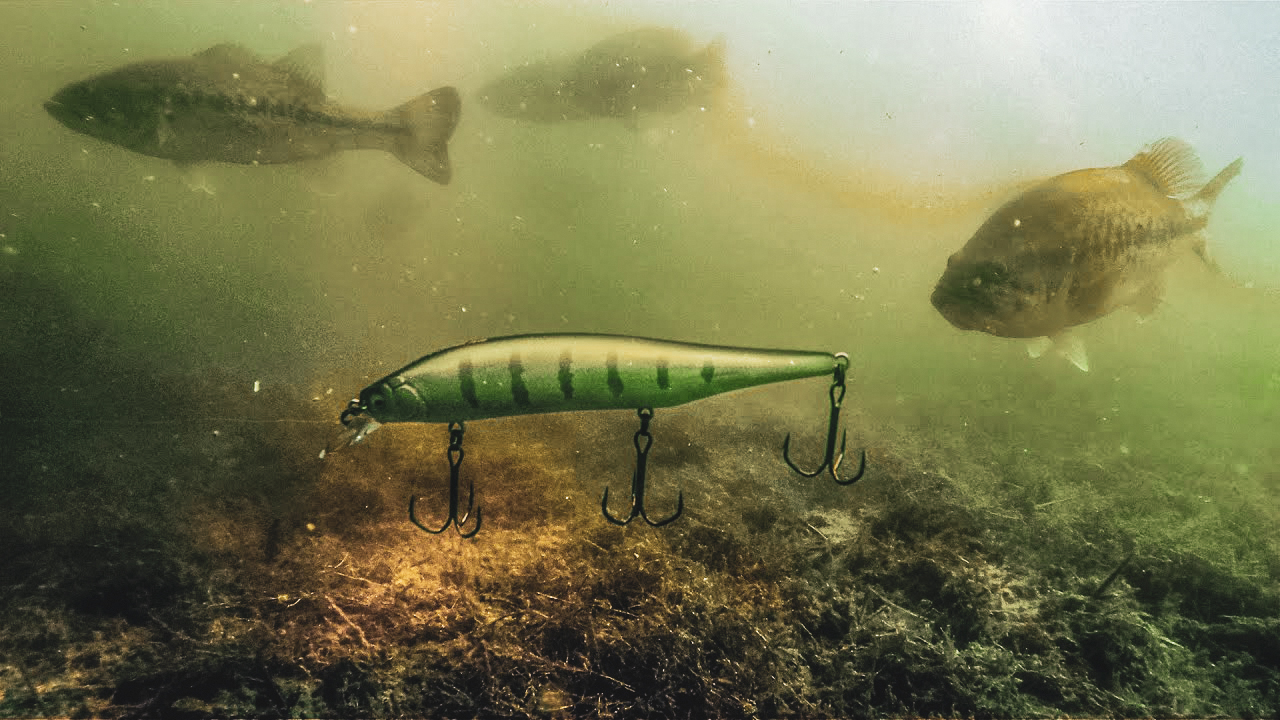 Prespawn Bass Fishing with Jerkbaits Timing, Locations and Best Baits