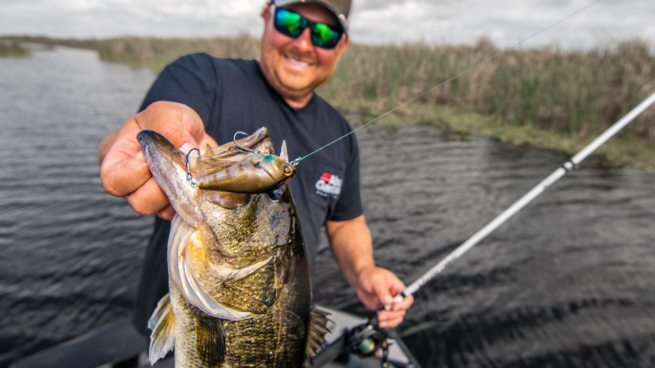 How to Catch Bass with Wake Baits Around Grass Wired2Fish