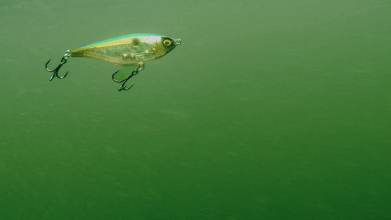 How to Fish Twitch Baits for Bass Jerkbait Alternative Wired2Fish