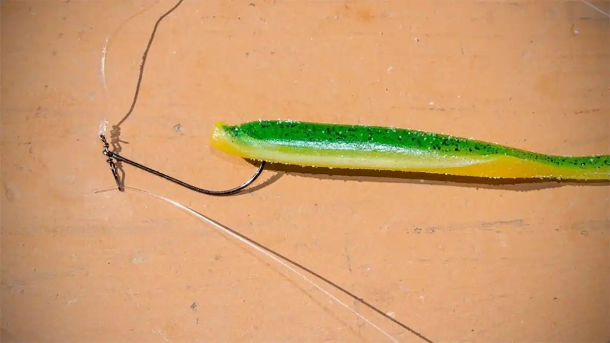 Drop Shot Rig Fishing and Rigging Tips Wired2Fish