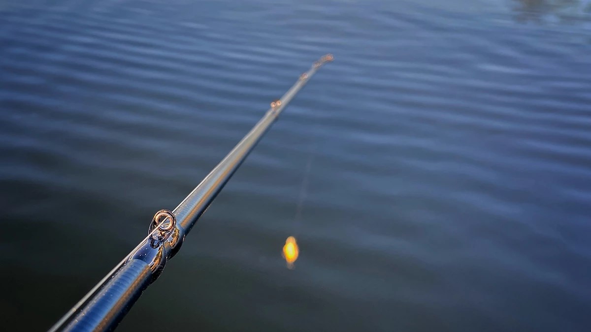 Cashion Element Crankbait Rod Review Wired2Fish