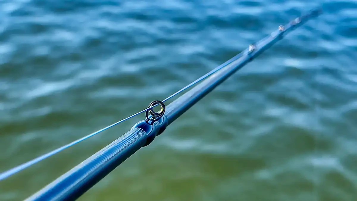 Cashion Icon BFS Rod Review Wired2Fish