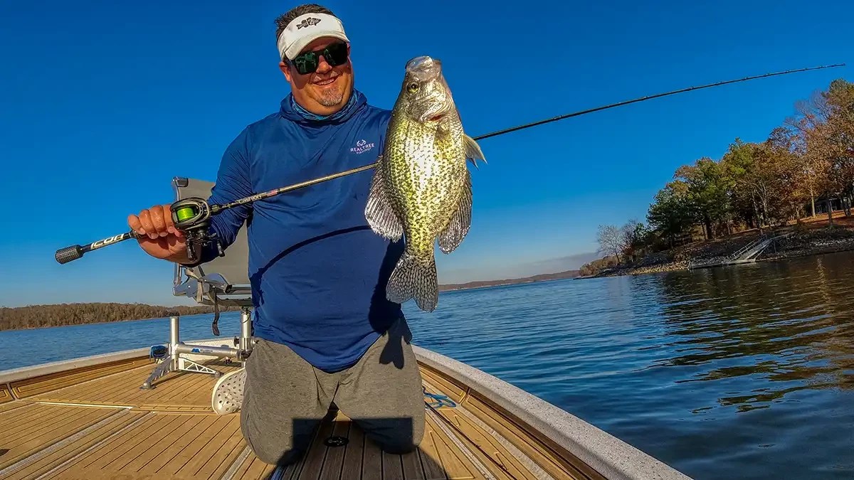 Cashion Icon BFS Rod Review Wired2Fish