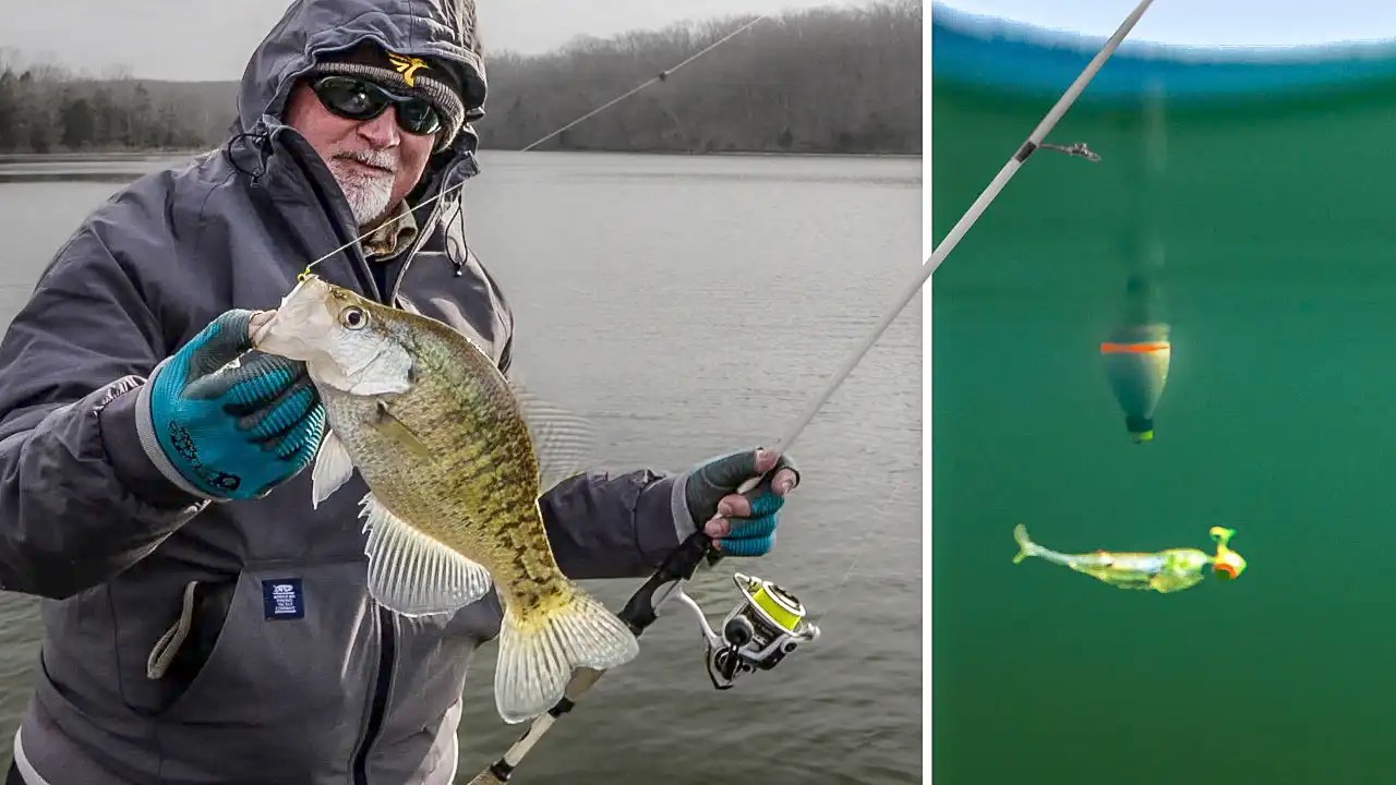 3 Best Lure Colors for Crappies Jigs and Plastics Wired2Fish