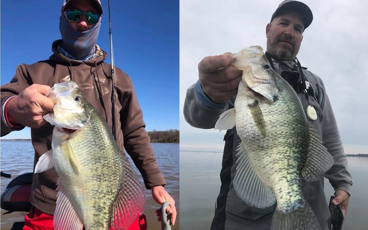Best Crappie Lakes and Fishing Destinations in America Wired2Fish