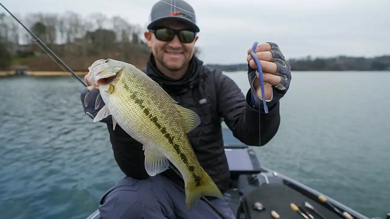 Texas Rig Drop Shot Setup for Deep Winter Bass Wired2Fish