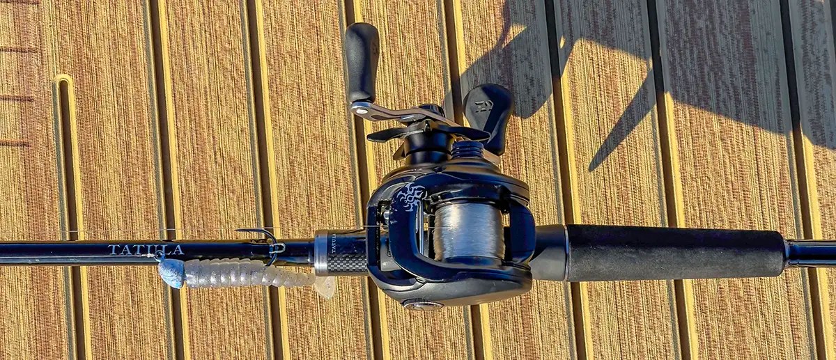 Best Catfish Rods A Guide To Choosing the Right Rod Wired2Fish