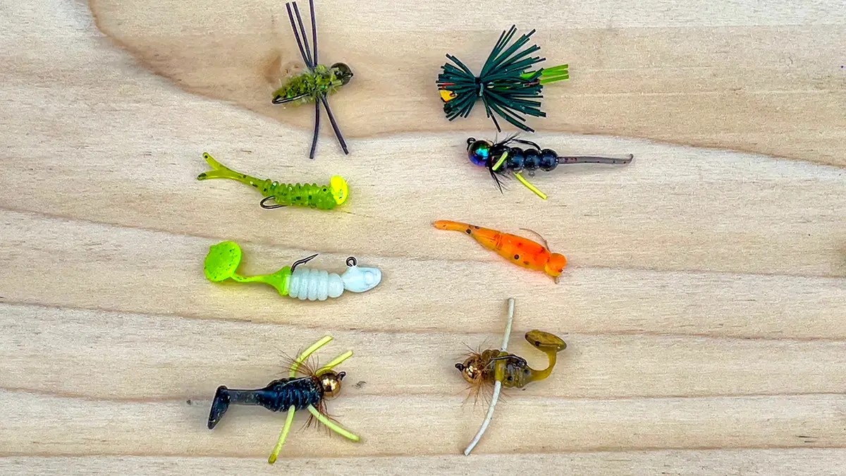 Best Baits for Bluegill Fishing Wired2Fish
