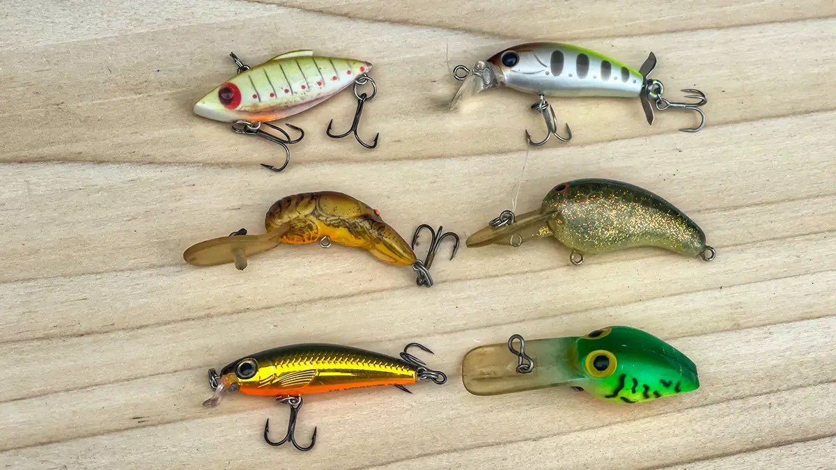 Best Baits for Bluegill Fishing Wired2Fish