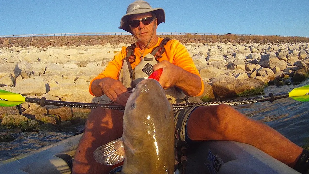 Kayak Catfishing Fishing for Big Channel Cats Wired2Fish