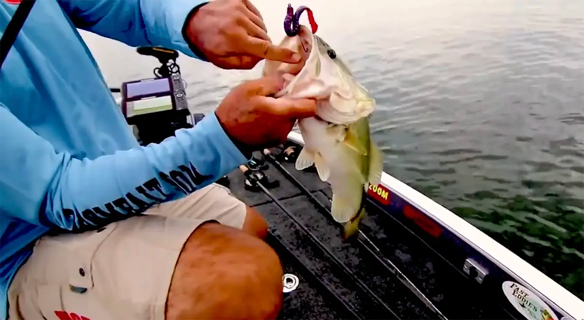 The Texas Rig How to Rig and Fish Wired2Fish