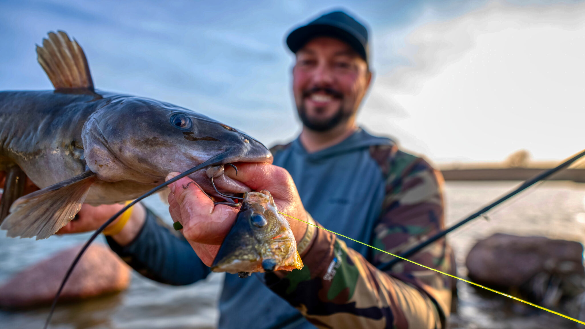 How to Catch Catfish Best Tips for Getting Started Wired2Fish