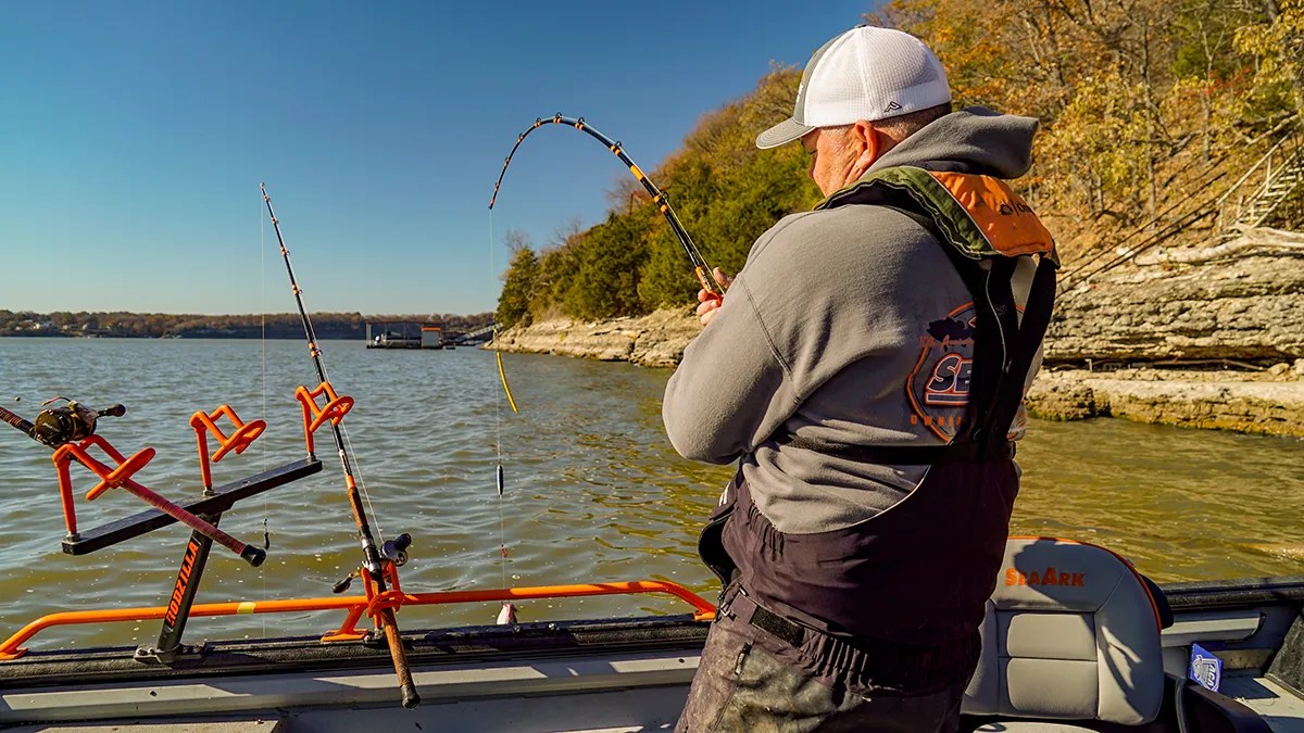 How to Catch Catfish Best Tips for Getting Started Wired2Fish