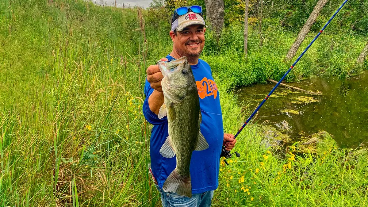 Pond Fishing Best Tips to Get You Catching Fish Fast Wired2Fish