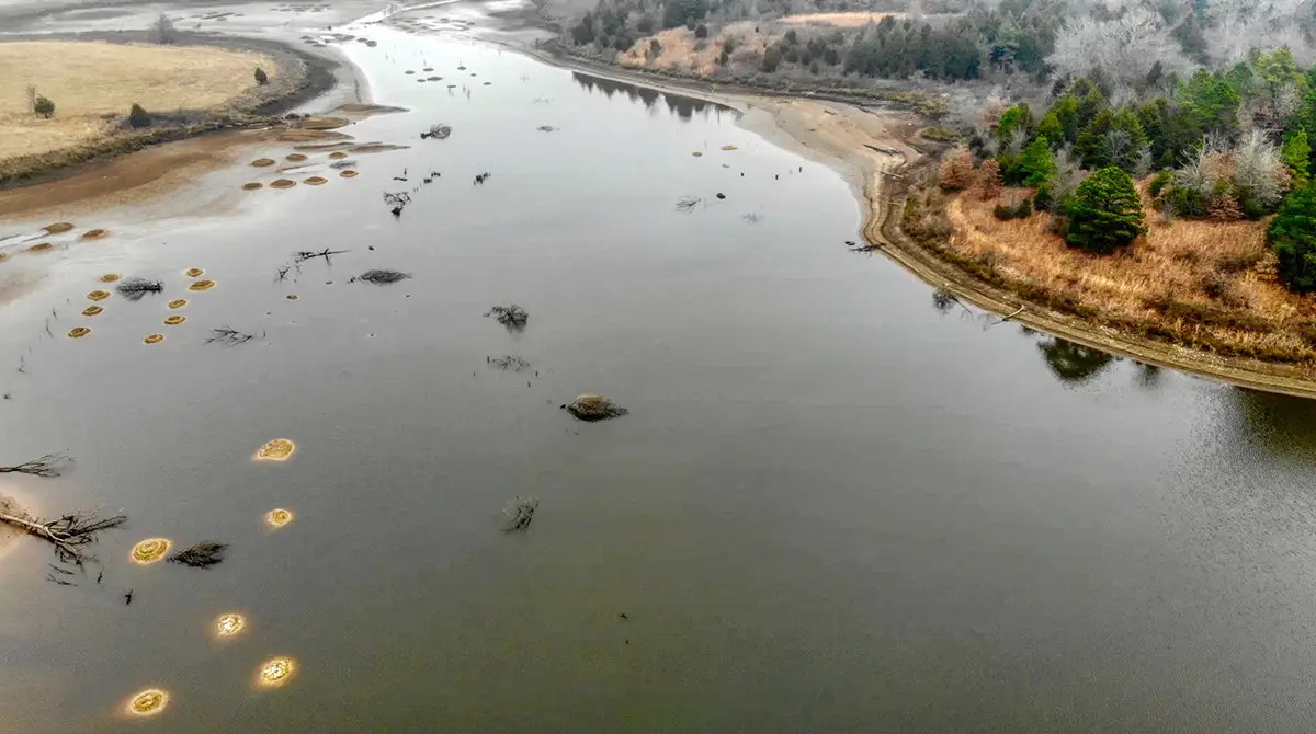 Pond Fishing Best Tips to Get You Catching Fish Fast Wired2Fish