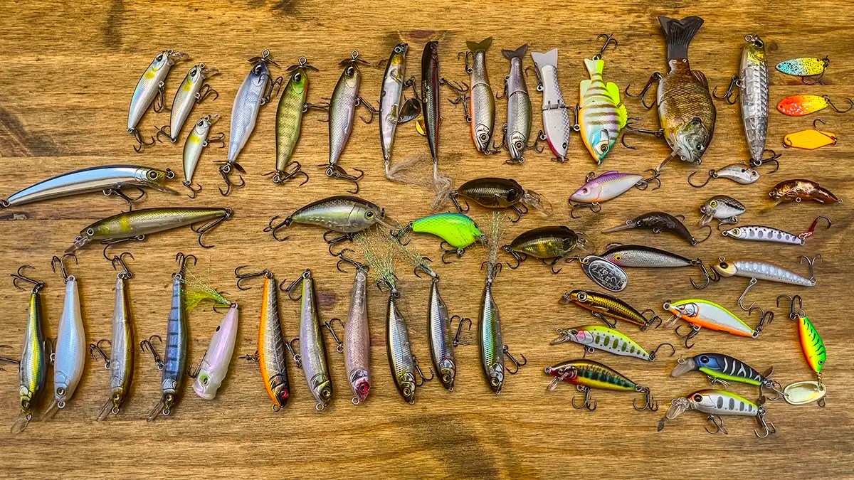 Bait Finesse System The BFS Fishing Guide Wired2Fish