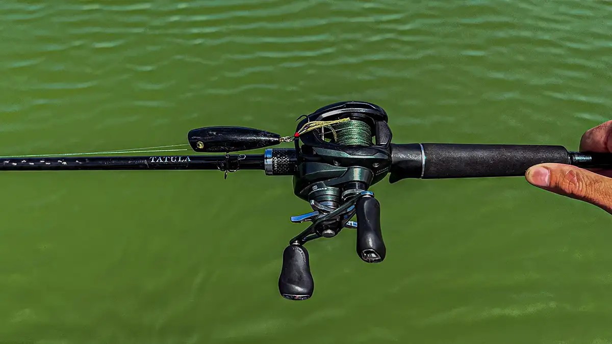 Topwater Poppers for Summertime Largemouth Wired2Fish