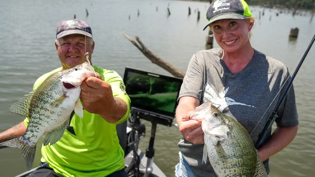 How to Catch Crappies in Standing Timber on Truman Lake Wired2Fish