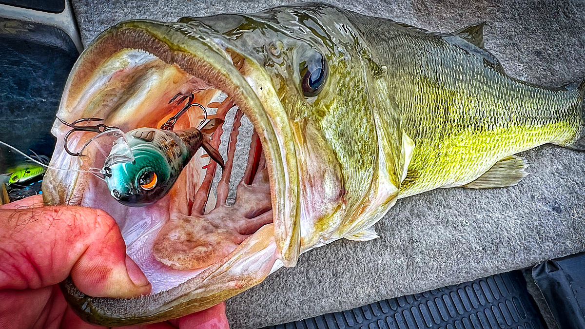 When to Make a Splash in Fishing Wired2Fish