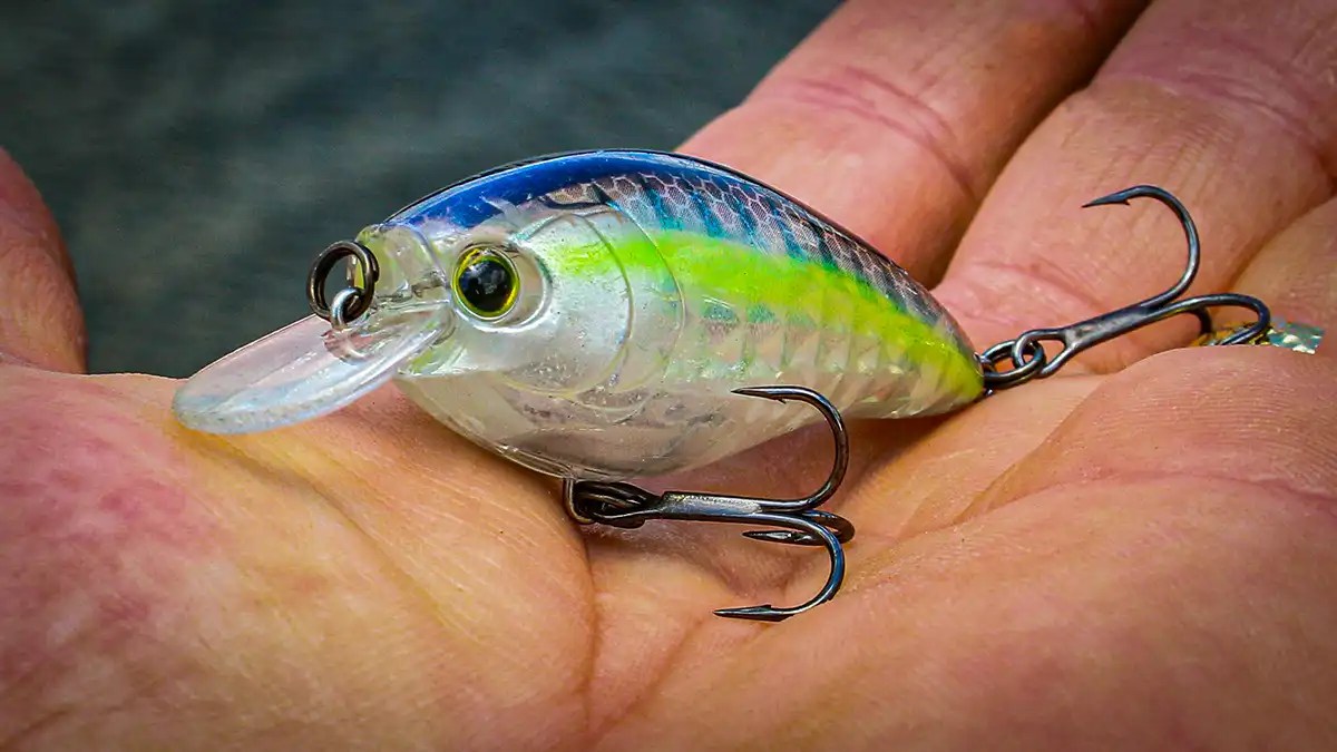 Yamamoto Ichi Worm Review Wired2Fish