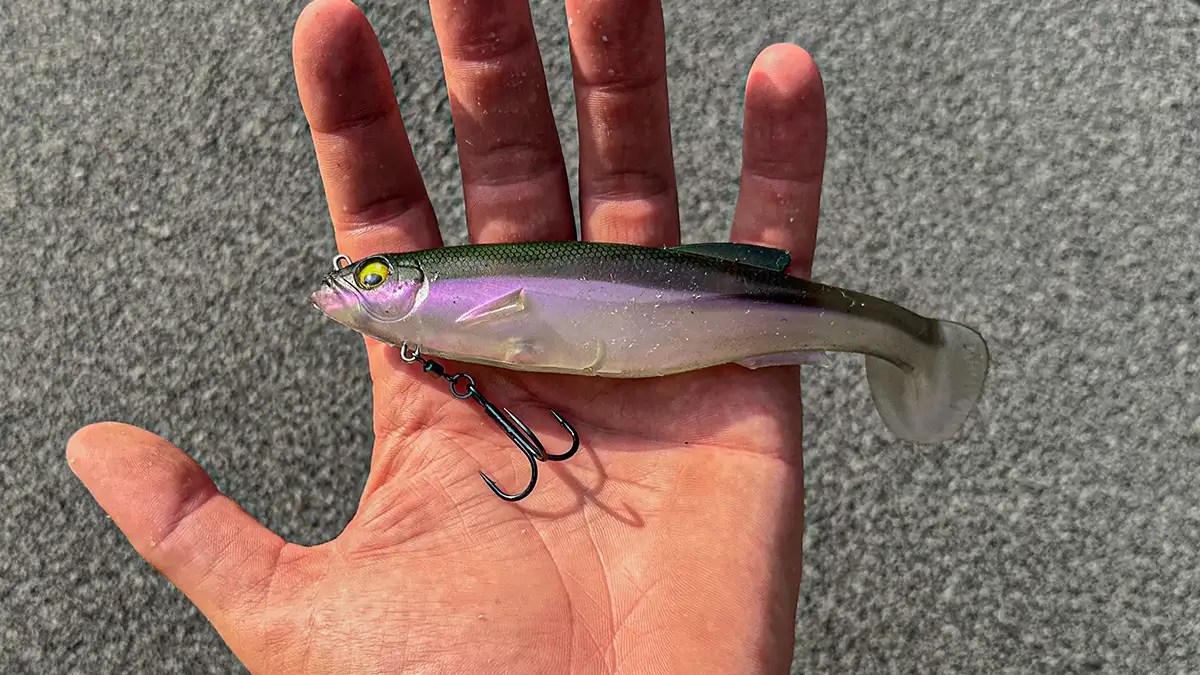 Swimbait vs. Swim Jig Wired2Fish