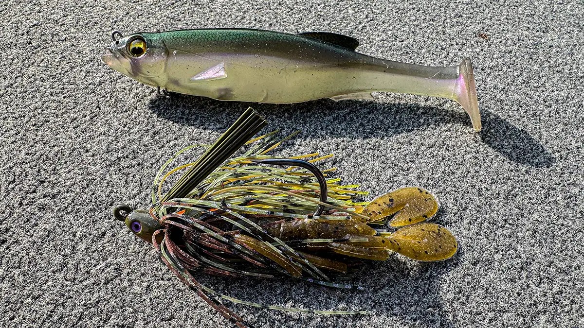 Swimbait vs. Swim Jig Wired2Fish