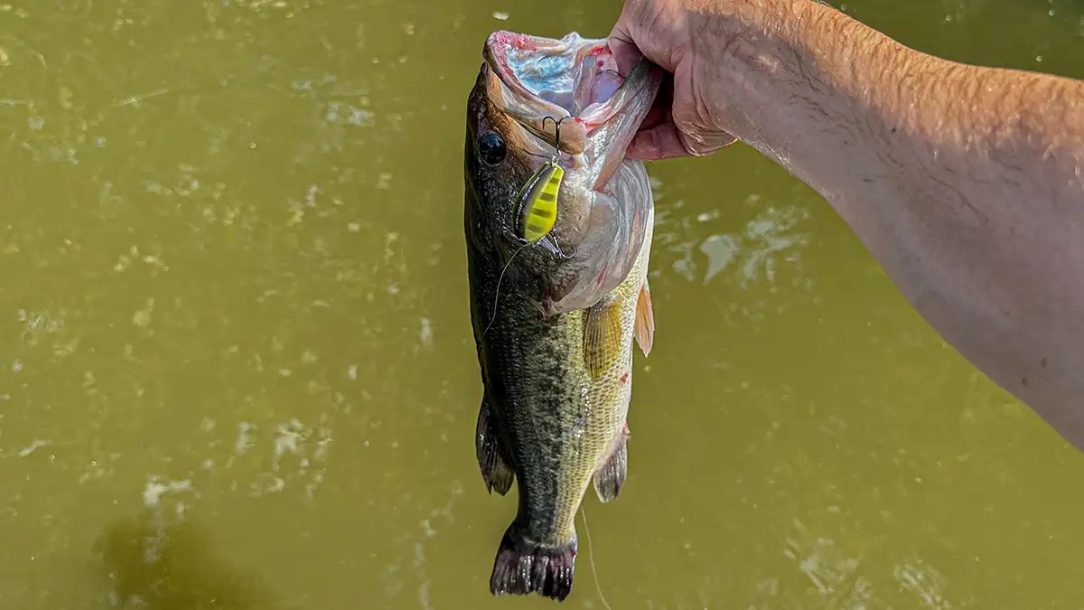 How and When to Fish Dirty Water in the Winter Wired2Fish